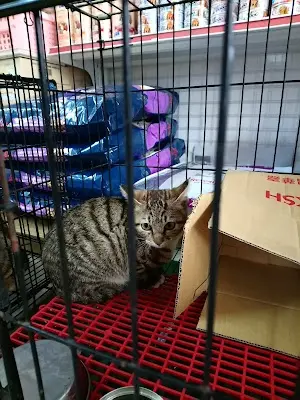 斗六佑安動物醫院