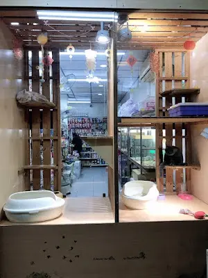 茼茼寵物館