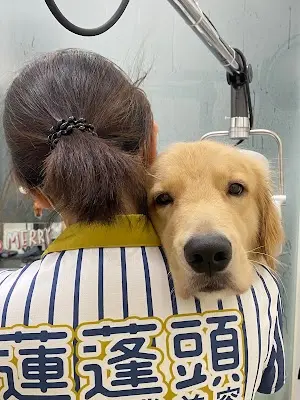 蓮蓬頭寵物美容