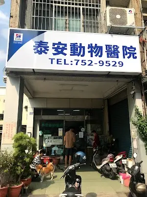 泰安動物醫院