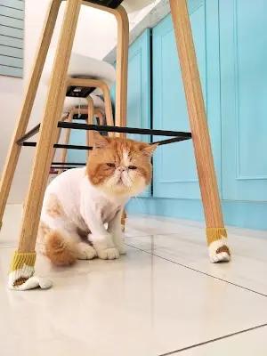 呂館