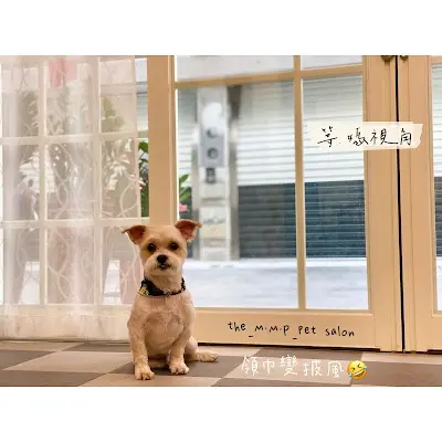 沐犬寵物沙龍