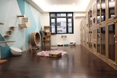 🐈扭扭貓屋🐾貓旅館/純貓美容/貓咪精品