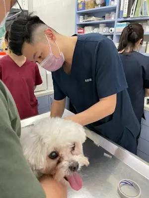 高醫動物醫院 (Kao Yi Amimal Hospital)