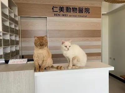 仁美動物醫院