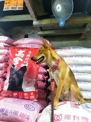 楊源興白米、飼料、五金行