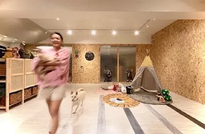 毛毛 愛狗樂 寵物旅館__ 不關籠50坪超大遊戲空間