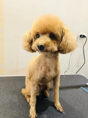旺旺澡堂