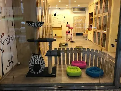 幸福貓村