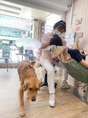 宏仁動物醫院
