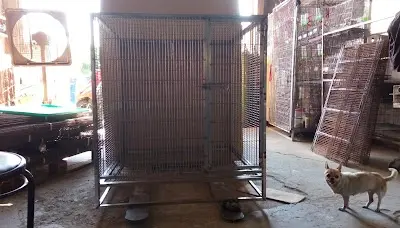 寵愛寵物 寵物籠子 狗 貓 鴿 雞 鳥(寵物籠批發零售，寵物籠/救援籠/醫療籠開發，各式訂做尺寸管籠)