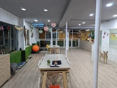 棉花糖寵物旅館