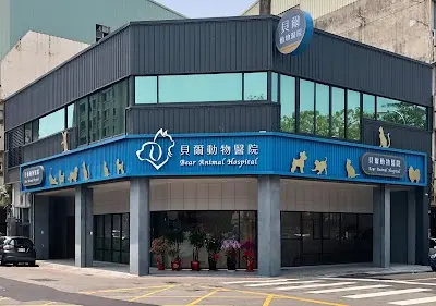 貝爾動物醫院 (全預約制) – 台中西屯區動物醫療服務 推薦寵物醫院 寵物專業診所 犬貓心臟疾病 外科手術 骨科矯正手術 內科疾病 中獸醫針灸復健 皮膚科 牙科 神經外科 前十字韌帶 椎間盤突出 影像診斷電腦斷層掃描