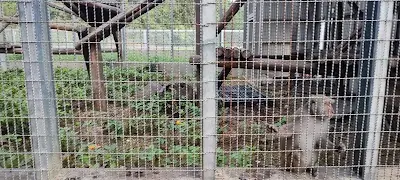 苗栗縣生態保育教育中心(野生動物收容)