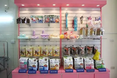 GoGoShower 狗狗笑了(苗栗竹南店)