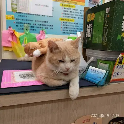 寵愛家寵物生活館