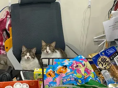 臭貓動物園寵物店-新莊雙鳳店-貓狗飼料/罐頭/零食/尿布墊/貓砂