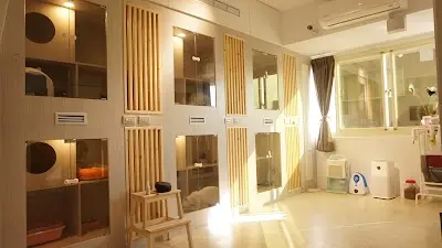 樂奇貓咪生活館