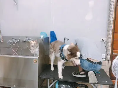 犬萊樂寵物精品沙龍
