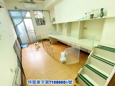 帕豆寵物美容