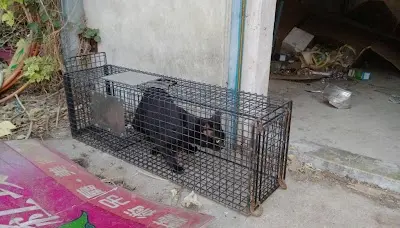 苗栗縣動物保護防疫所