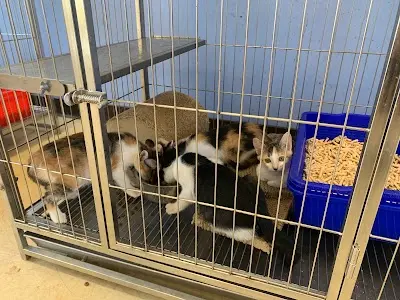 新竹市動物保護教育園區