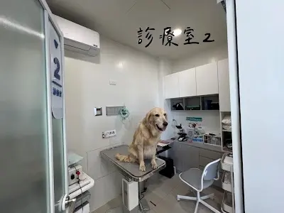 禾宇動物醫院-寵物內外科|嘉義縣中獸醫|寵物牙科|大林動物醫院|寵物健檢|嘉義縣動物醫院推薦