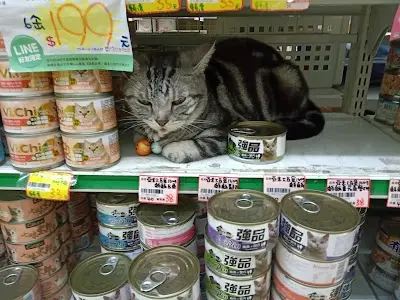 哈克狗&湯姆貓寵物店