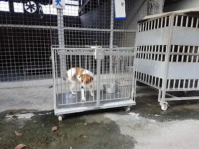淡水動物之家