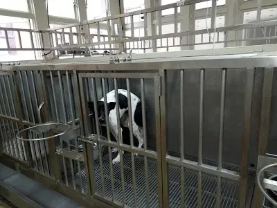 新竹縣動物保護防疫所