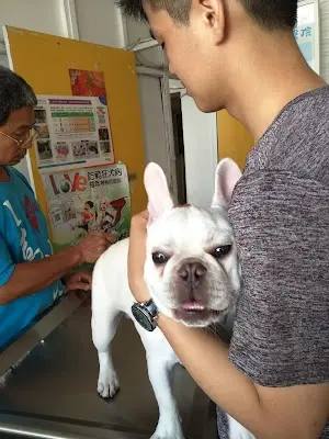 米克斯動物醫院