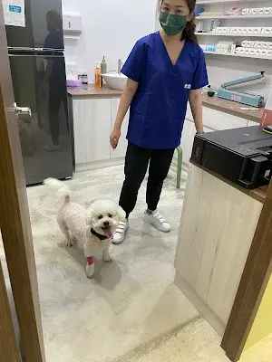 牧森動物醫院