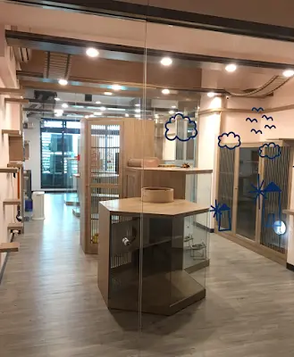 喵仔厝精品貓生活館