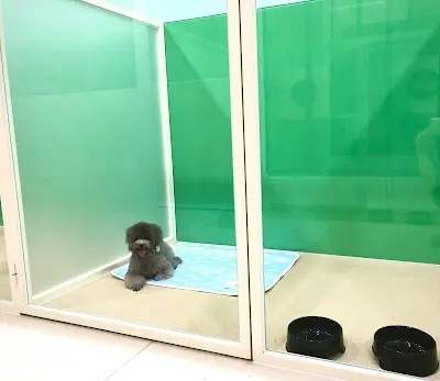 提摩寵物美容工坊