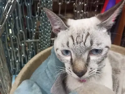 益成行(美髮百貨園藝寵物飼料)