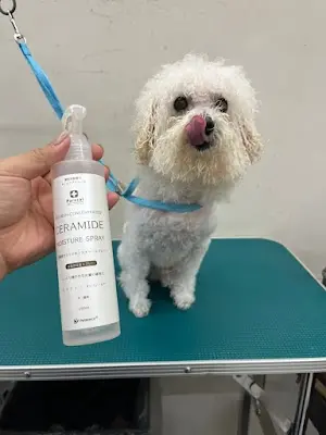 寵物美容推薦《荷雅寵物沙龍SPA》VIP接送.寵物用品．寵物洗澡.貓洗澡.狗狗洗澡．寵物造型.寵物剃毛.寵物指甲