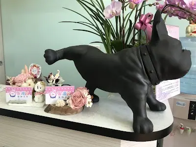 妮澡丫寵物美容工作室