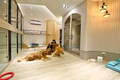 捲尾巴寵物旅宿/新北寵物旅館/永和寵物旅館/狗旅館/狗狗安親/狗狗過夜