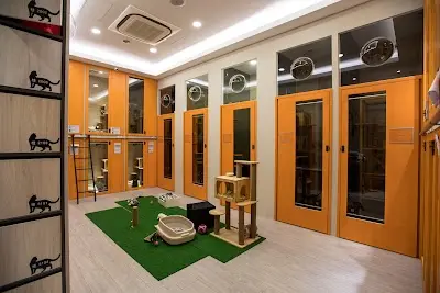 MUMAO 牧貓精品寵物旅館 - 台南館(寵物住宿.寵物美容)