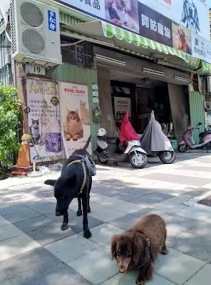 阿咕寵物店
