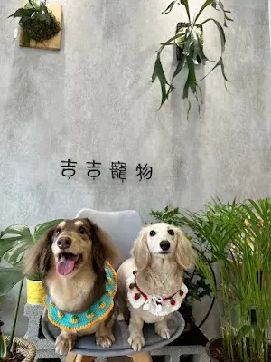 吉吉寵物chichiPetSalon