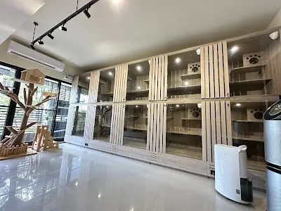 貓旅館【貓仔間】－貓住宿－台中貓旅館－布偶貓（全預約制）