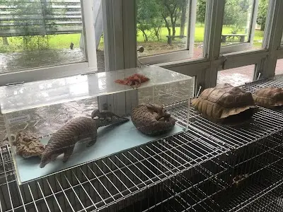 國立屏東科技大學保育類野生動物收容中心(請導航屏科大由正門進入)