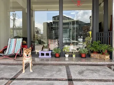 囍荳寵物沙龍