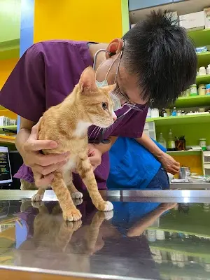 犬揚獸醫院