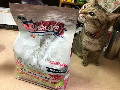 布丁狗X焦糖貓 倉儲批發中心