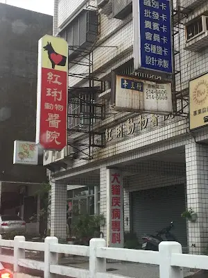 紅琍動物醫院