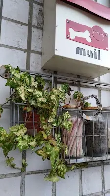 大明狗食世界商行