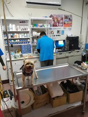 莫耳動物醫院
