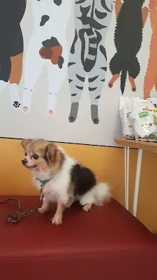 華興動物醫院
